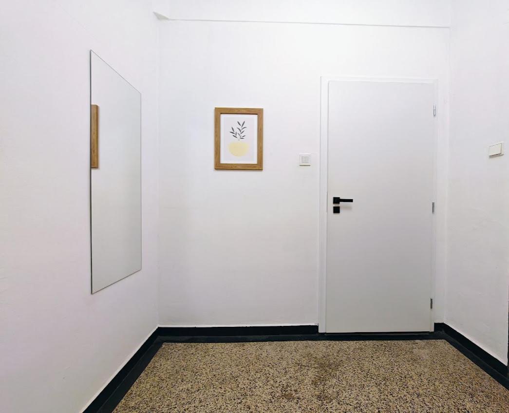 Zizkov Studio -004- Praag Buitenkant foto